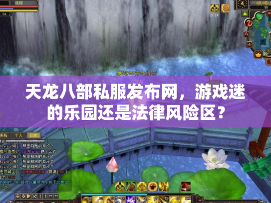天龙八部私服发布网，游戏迷的乐园还是法律风险区？