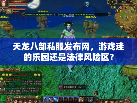 天龙八部私服发布网，游戏迷的乐园还是法律风险区？