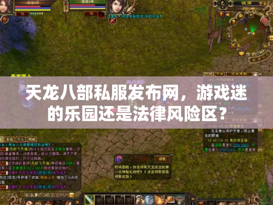 天龙八部私服发布网，游戏迷的乐园还是法律风险区？