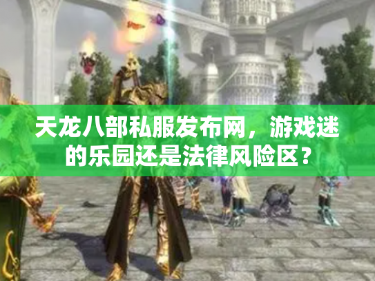 天龙八部私服发布网，游戏迷的乐园还是法律风险区？