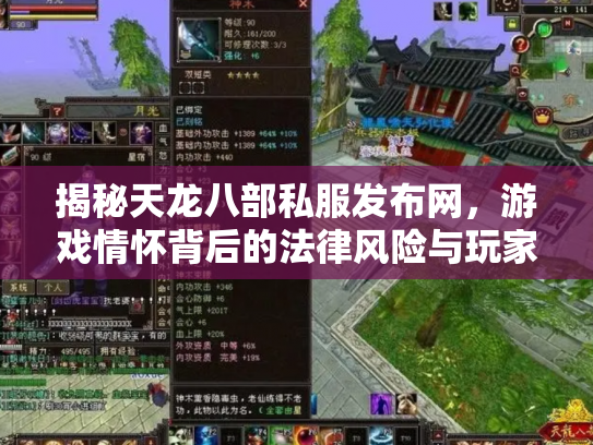 揭秘天龙八部私服发布网，游戏情怀背后的法律风险与玩家选择