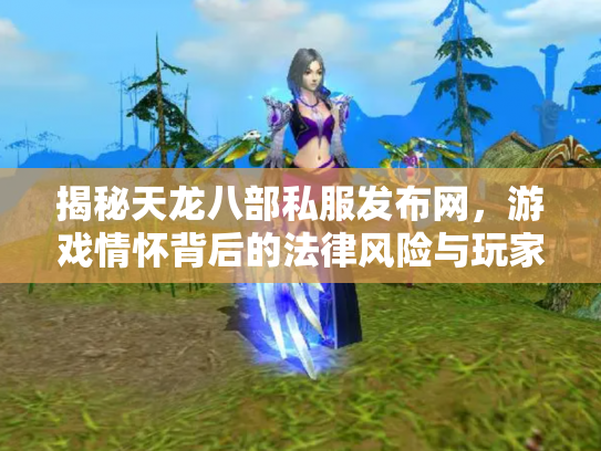 揭秘天龙八部私服发布网，游戏情怀背后的法律风险与玩家选择
