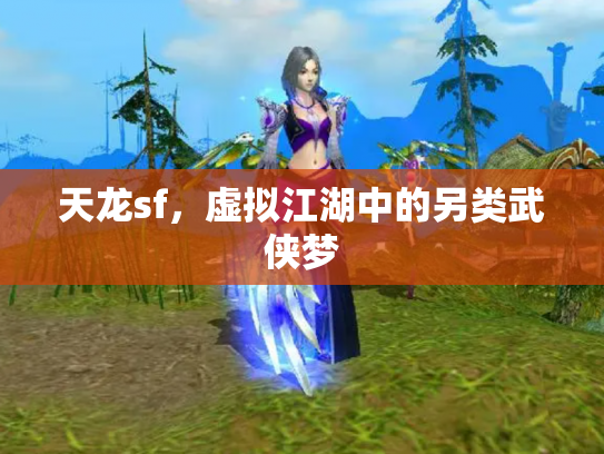 天龙sf，虚拟江湖中的另类武侠梦
