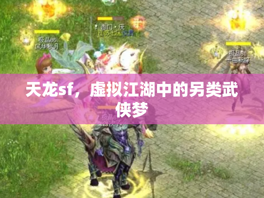 天龙sf，虚拟江湖中的另类武侠梦