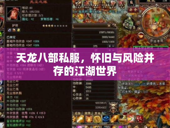 天龙八部私服，怀旧与风险并存的江湖世界