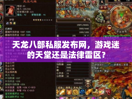 天龙八部私服发布网，游戏迷的天堂还是法律雷区？