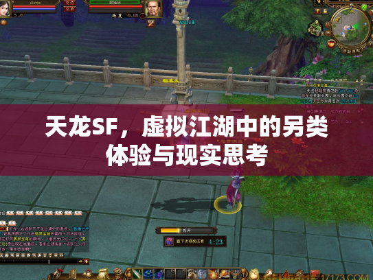 天龙SF，虚拟江湖中的另类体验与现实思考