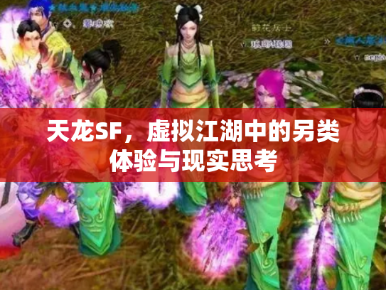 天龙SF，虚拟江湖中的另类体验与现实思考