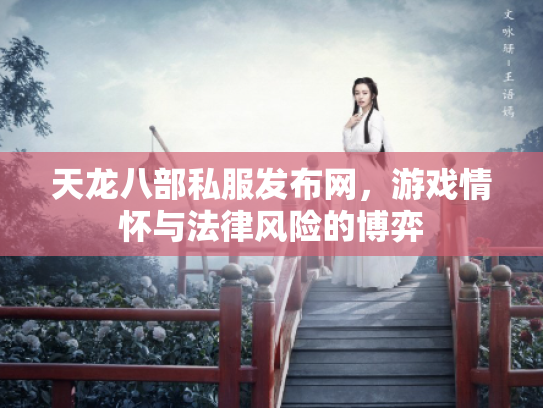 天龙八部私服发布网，游戏情怀与法律风险的博弈