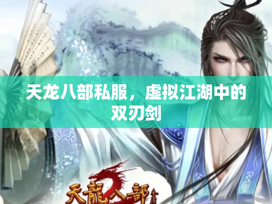 天龙八部私服，虚拟江湖中的双刃剑