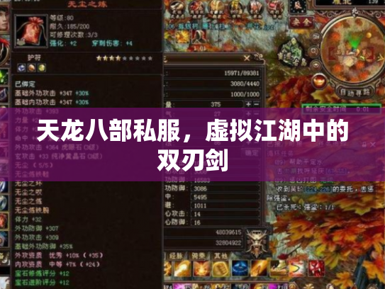 天龙八部私服，虚拟江湖中的双刃剑