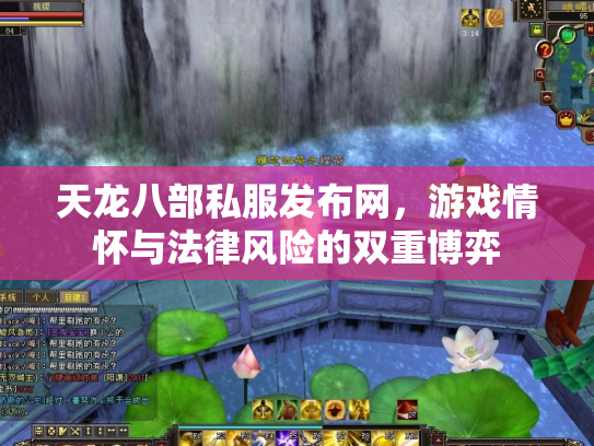 天龙八部私服发布网，游戏情怀与法律风险的双重博弈