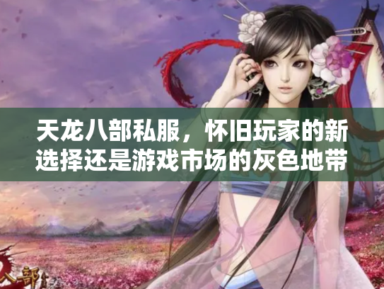 天龙八部私服，怀旧玩家的新选择还是游戏市场的灰色地带？