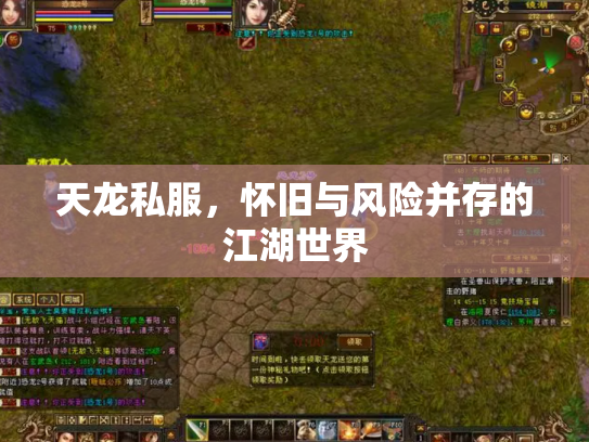 天龙私服，怀旧与风险并存的江湖世界