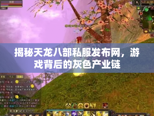 揭秘天龙八部私服发布网，游戏背后的灰色产业链
