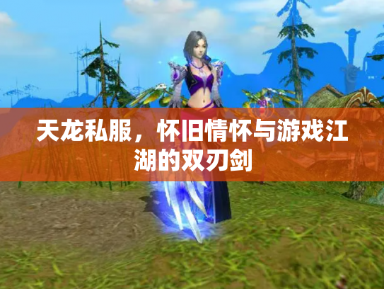 天龙私服，怀旧情怀与游戏江湖的双刃剑