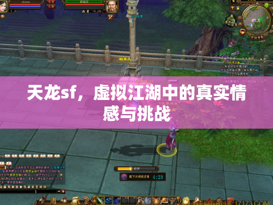 天龙sf，虚拟江湖中的真实情感与挑战
