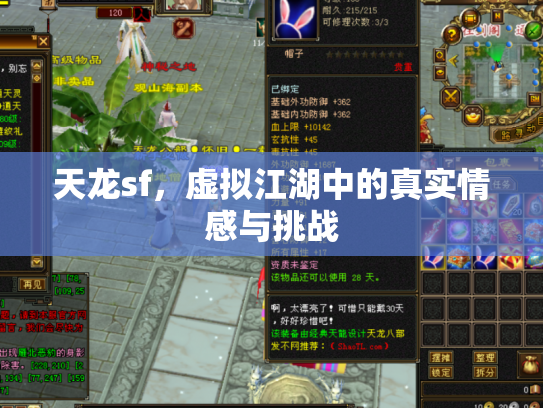 天龙sf，虚拟江湖中的真实情感与挑战