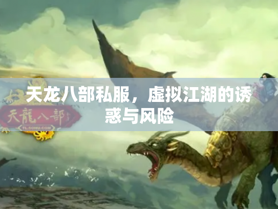 天龙八部私服，虚拟江湖的诱惑与风险