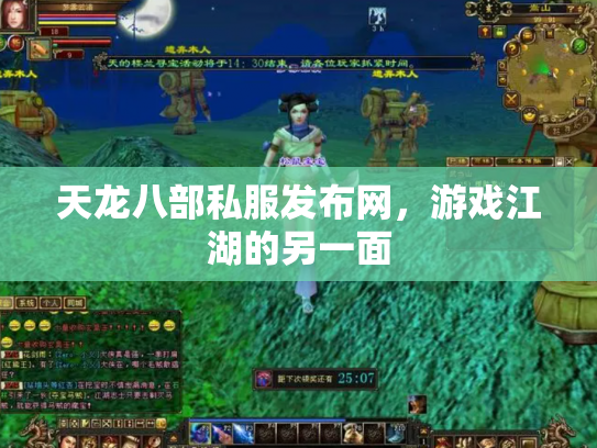 天龙八部私服发布网，游戏江湖的另一面