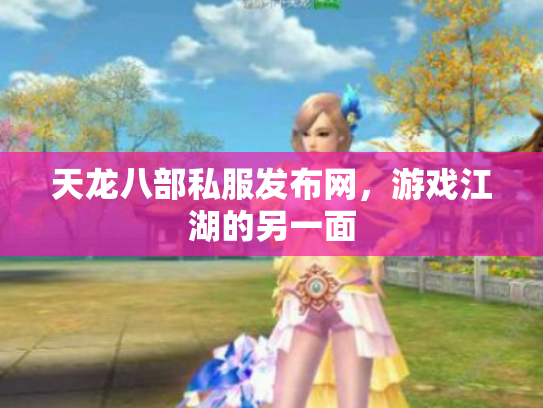 天龙八部私服发布网，游戏江湖的另一面