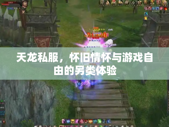 天龙私服，怀旧情怀与游戏自由的另类体验