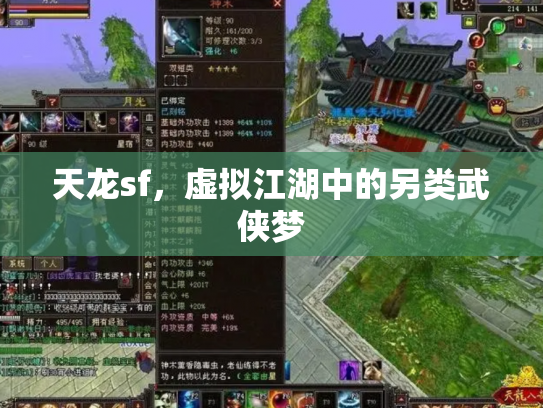 天龙sf，虚拟江湖中的另类武侠梦
