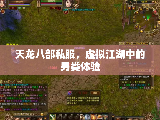 天龙八部私服，虚拟江湖中的另类体验