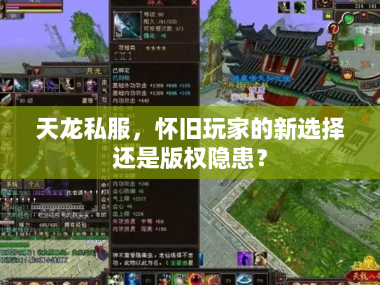 天龙私服，怀旧玩家的新选择还是版权隐患？