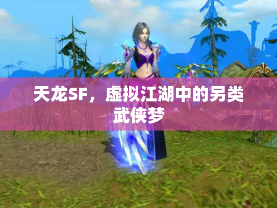 天龙SF，虚拟江湖中的另类武侠梦
