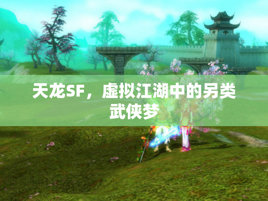 天龙SF，虚拟江湖中的另类武侠梦