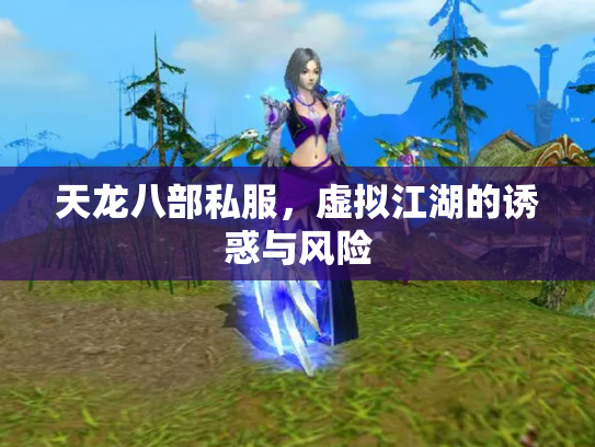天龙八部私服，虚拟江湖的诱惑与风险