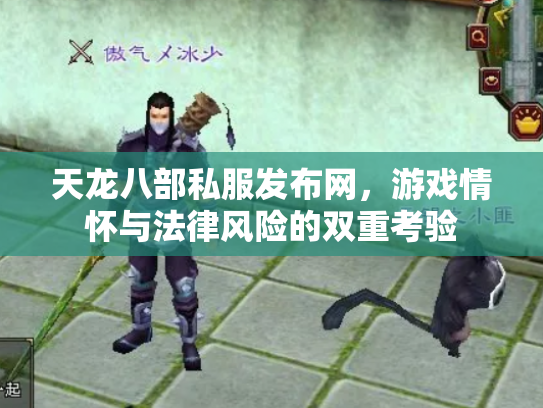天龙八部私服发布网，游戏情怀与法律风险的双重考验