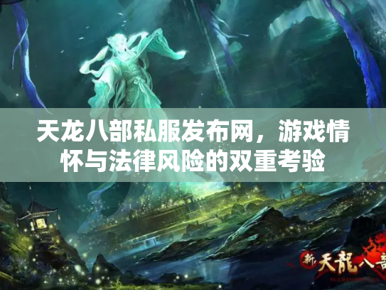 天龙八部私服发布网，游戏情怀与法律风险的双重考验