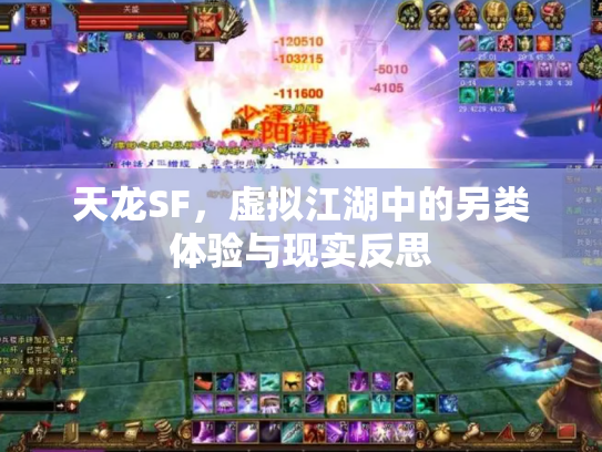 天龙SF，虚拟江湖中的另类体验与现实反思