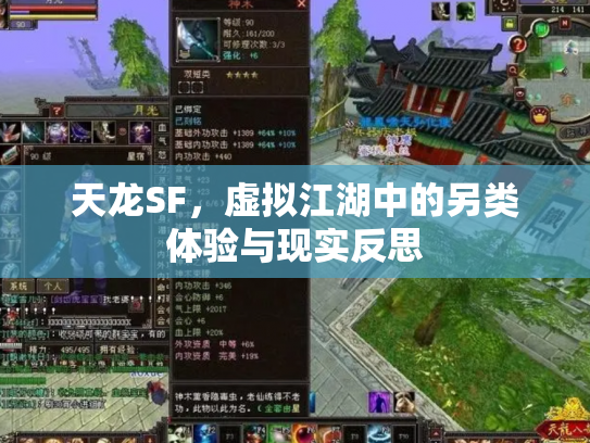 天龙SF，虚拟江湖中的另类体验与现实反思