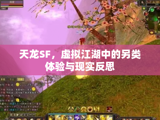 天龙SF，虚拟江湖中的另类体验与现实反思