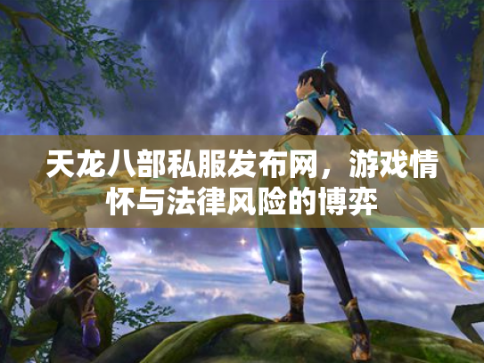 天龙八部私服发布网，游戏情怀与法律风险的博弈