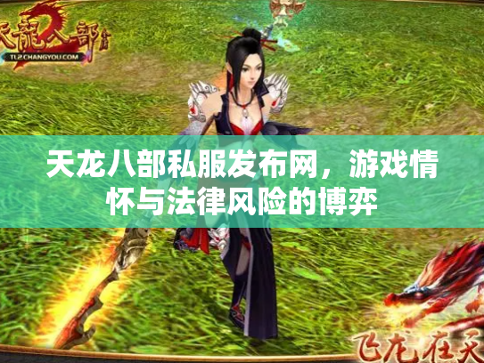 天龙八部私服发布网，游戏情怀与法律风险的博弈