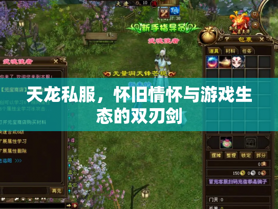 天龙私服，怀旧情怀与游戏生态的双刃剑