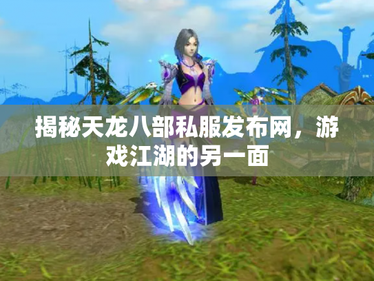 揭秘天龙八部私服发布网，游戏江湖的另一面