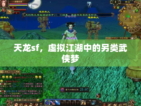 天龙sf，虚拟江湖中的另类武侠梦