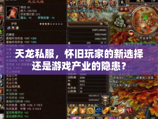 天龙私服，怀旧玩家的新选择还是游戏产业的隐患？