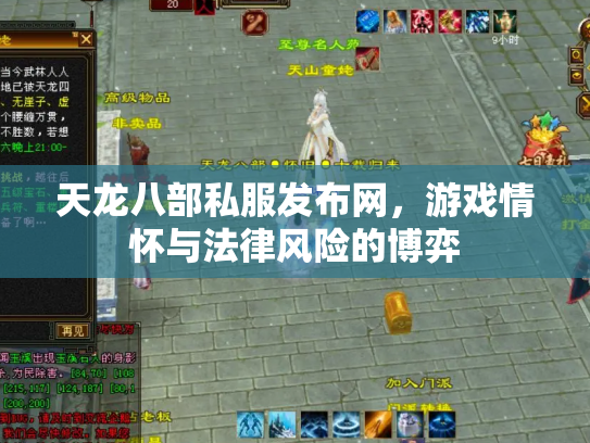 天龙八部私服发布网，游戏情怀与法律风险的博弈