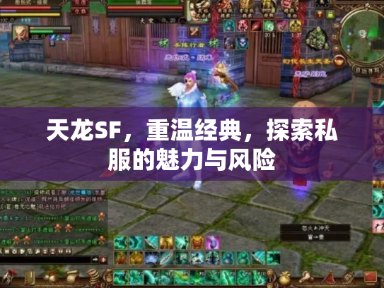 天龙SF，重温经典，探索私服的魅力与风险