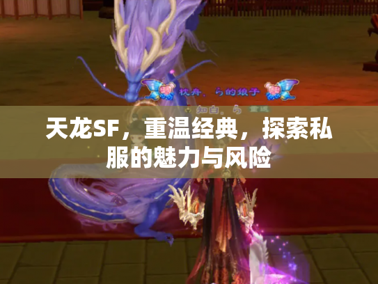 天龙SF，重温经典，探索私服的魅力与风险