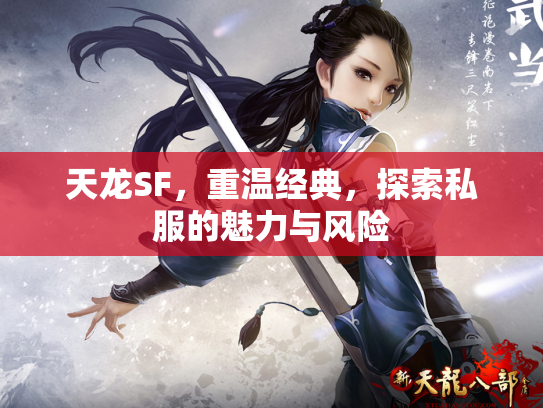 天龙SF，重温经典，探索私服的魅力与风险