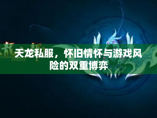天龙私服，怀旧情怀与游戏风险的双重博弈