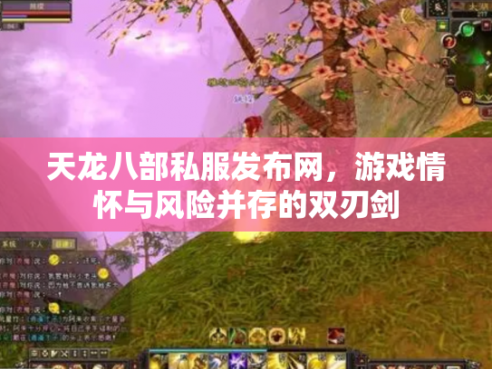 天龙八部私服发布网，游戏情怀与风险并存的双刃剑