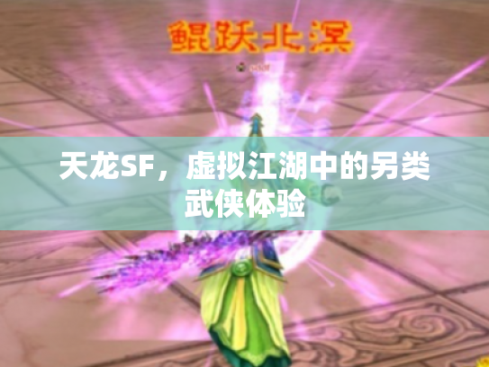 天龙SF，虚拟江湖中的另类武侠体验